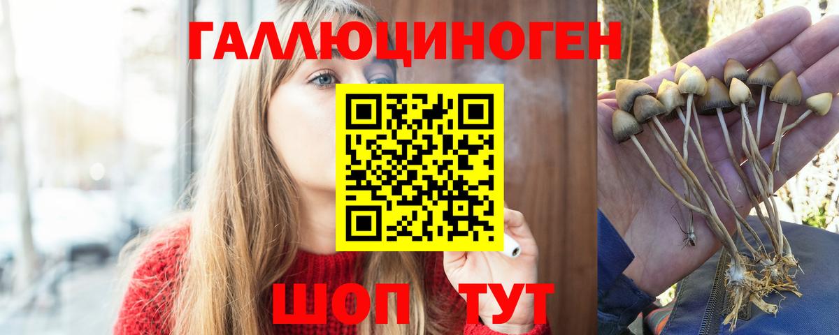 Гудермес  Галлюциногенные грибы Magic Shrooms  Вход с VPN 